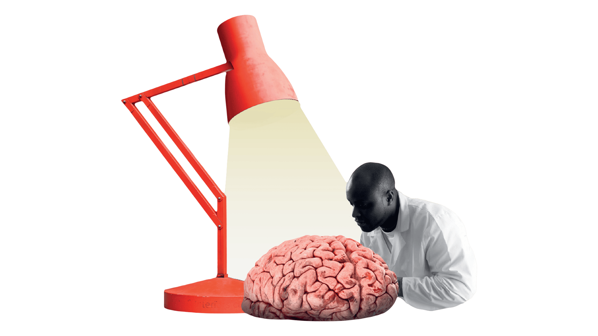 Kollage med en forskare som studerar en hjärna belyst av en skrivbordslampa.