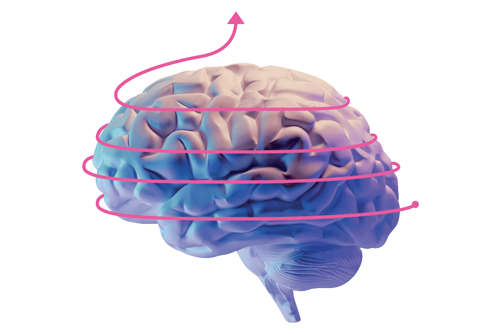 Kollage av en pil som cirkulerar en hjärna och pekar uppåt.
