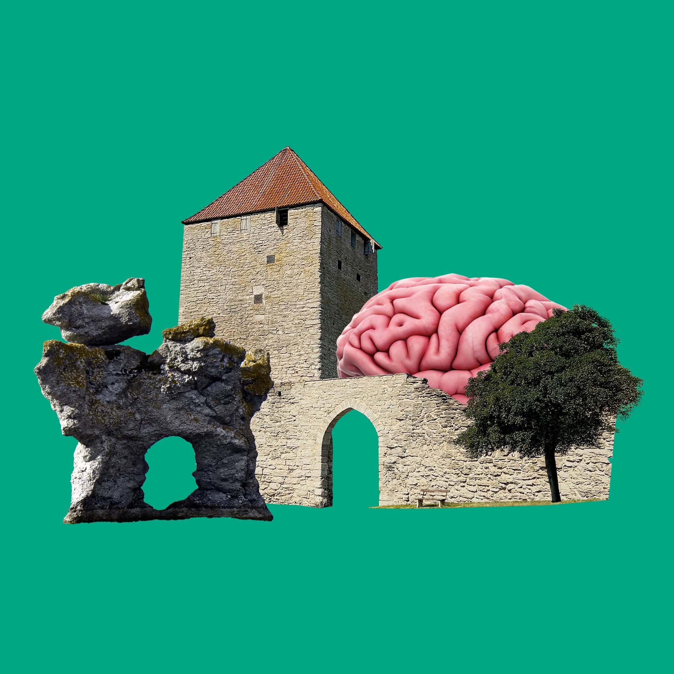 Hjärnfonden i Almedalen 2026